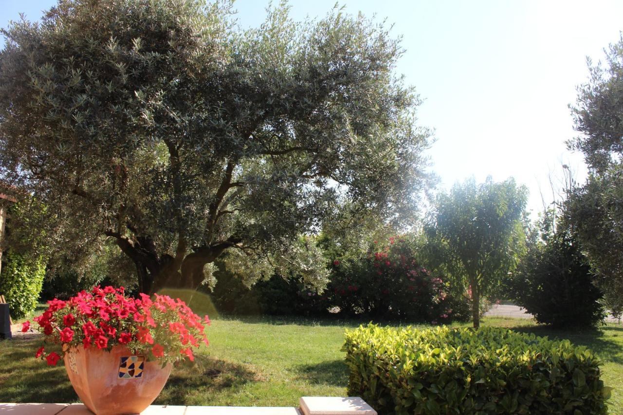 Logis La Grande Bastide Hotel Oraison Exterior photo